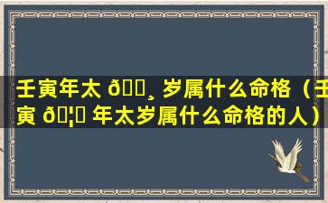 壬寅年太 🌸 岁属什么命格（壬寅 🦟 年太岁属什么命格的人）